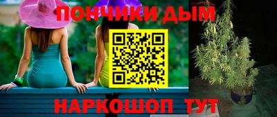 шишки Новозыбков