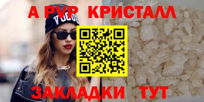 шишки Новозыбков