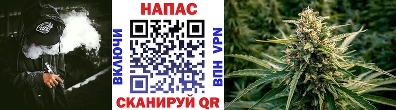 дарнет шоп  Волжск  Каннабис конопля 